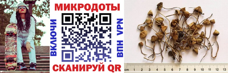 купить ОМГ ОМГ ТОР Галлюциногенные грибы ЛСД Уржум